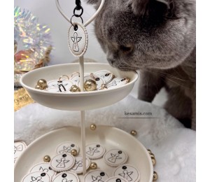 Stickserie - Set Schutzengel Appli & ITH inkl. Chip Halter & Stecker